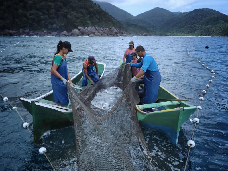 Kelisson Rego da Silva e as diferenças entre pesca artesanal e piscicultura